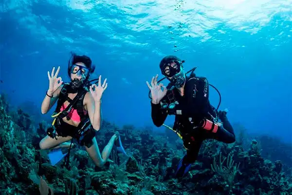 Buceo Profesional